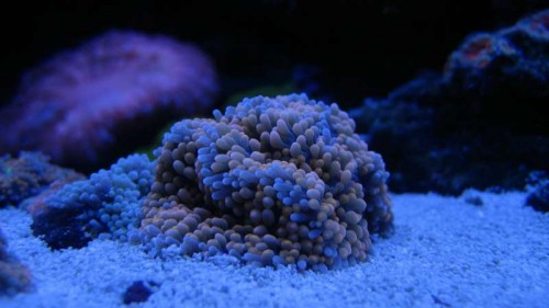 IMG_6365.JPG