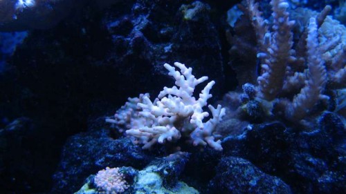 IMG_6363.JPG