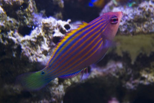 IMG_6077.JPG