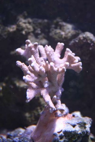IMG_5415.JPG