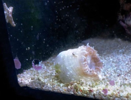 A2011-11-27 12.59.13.jpg