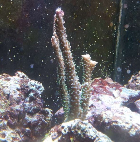 20111127_180157.jpg