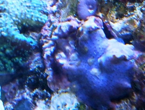 2011-11-27 19.54.56.jpg