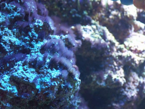 PICT0485.JPG