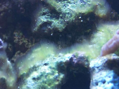 PICT0490.JPG