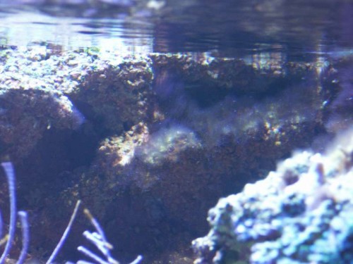 PICT0488.JPG