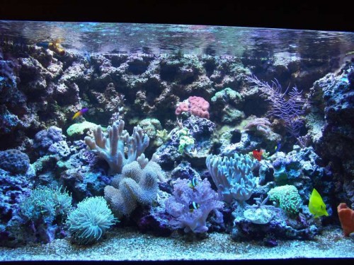 PICT0484.JPG