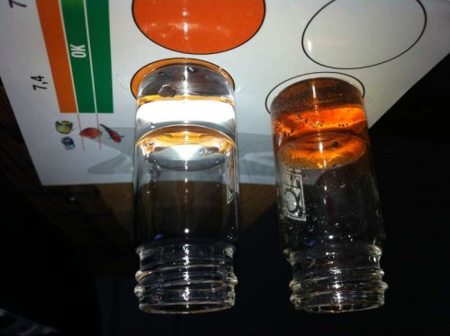 PH – 7,4(ok ifølge tabel)