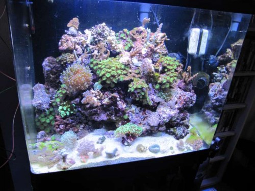 december 2011 149.JPG