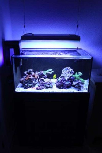 IMG_1469.jpg