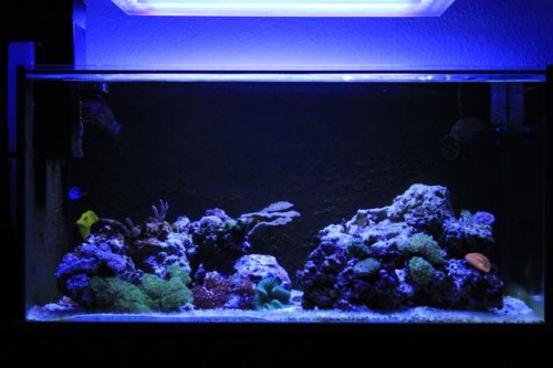 _MG_1512.jpg