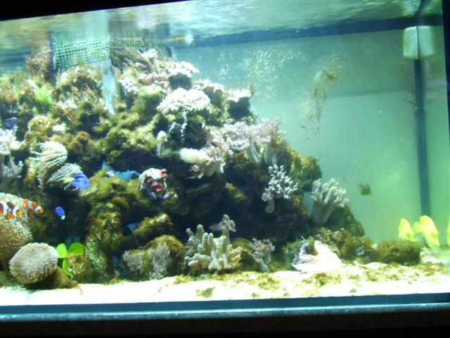 PICT0123 (Small).JPG