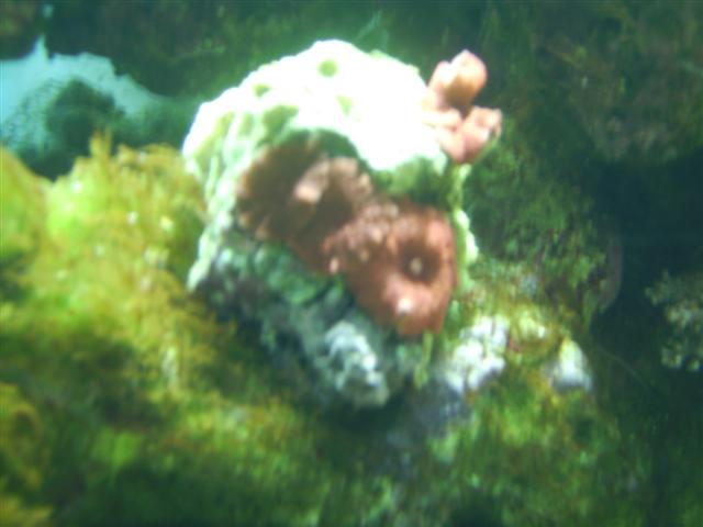 PICT0120 (Small).JPG