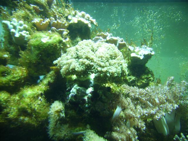 PICT0118 (Small).JPG