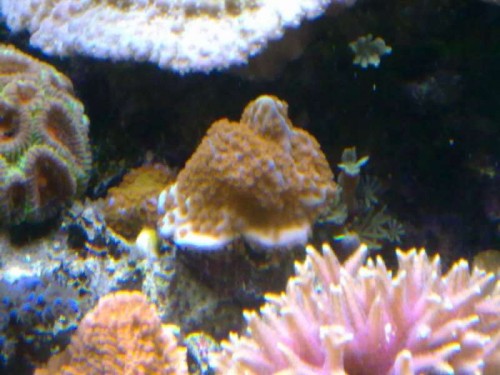 13122011252.jpg
