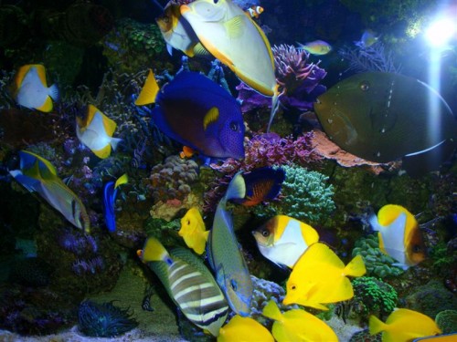 PC150027 (Medium).JPG