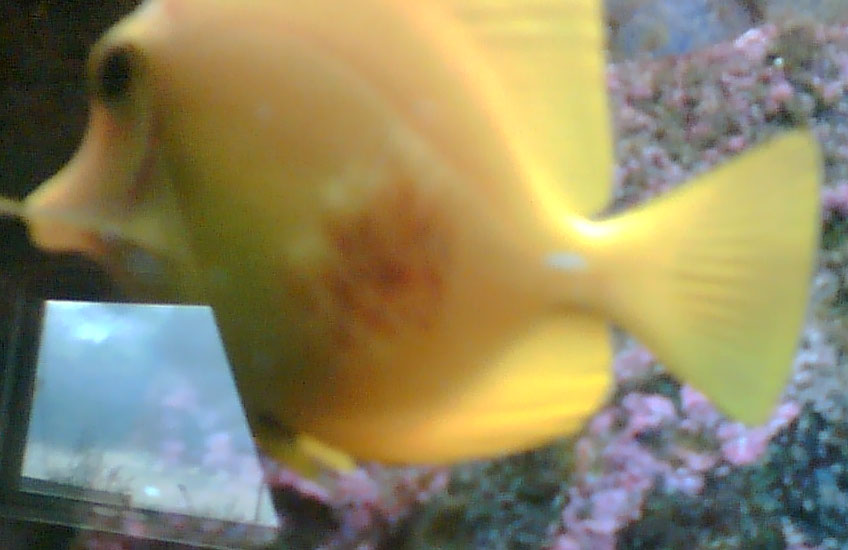 Billede0013.jpg