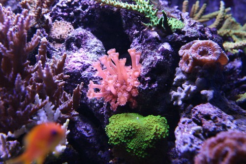 IMG_7482.JPG