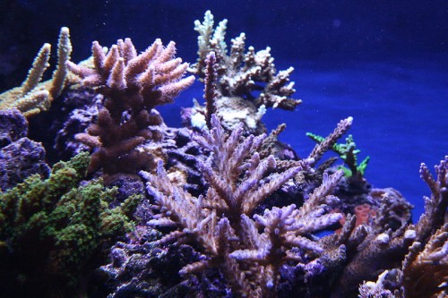 IMG_7491.JPG