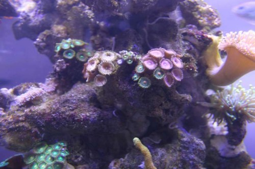 Uge 12 (40).JPG