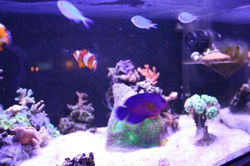 FTS 2