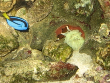 IMG_2421.JPG
