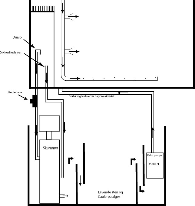 Total-setup.jpg