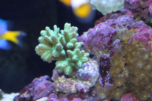 IMG_9730.JPG