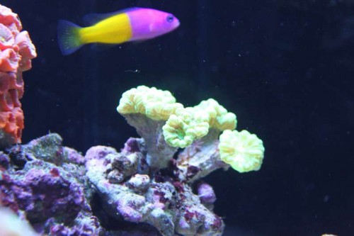 IMG_9740.JPG