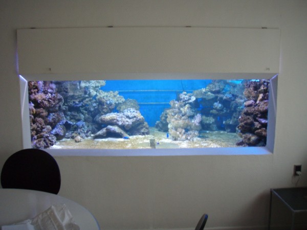 P1100004 (600 x 450).jpg