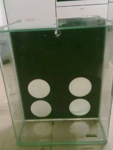11012012320.jpg