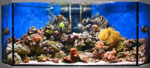 3 x 250 watt i 700 L