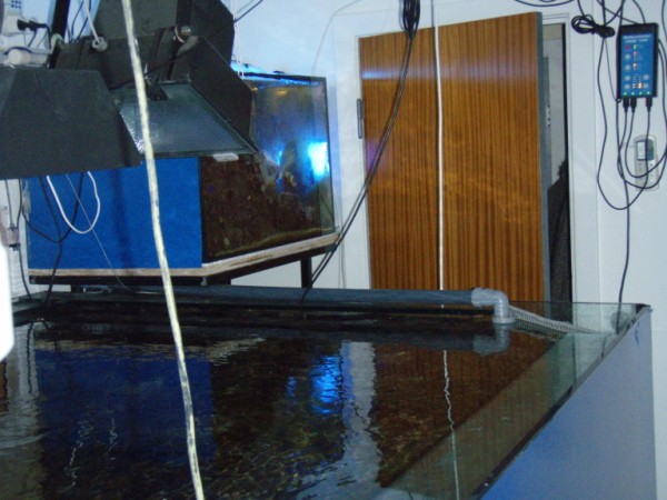 bagsiden akv 004 (600 x 450).jpg
