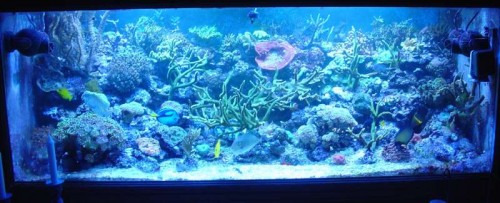 DSC00367-1.jpg