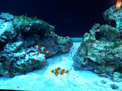 20120118_212906.jpg
