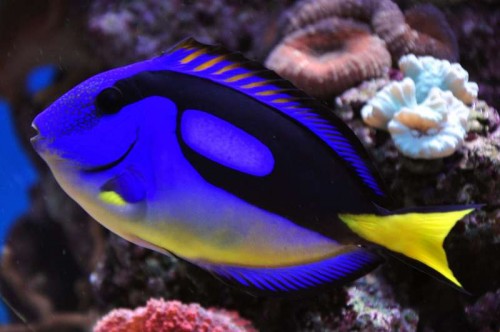 DSC_6655_2.jpg