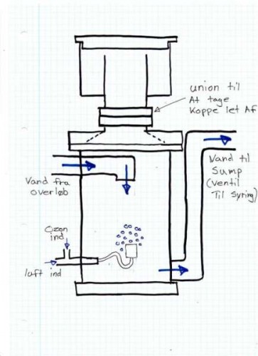 skummer002 (Large).jpg