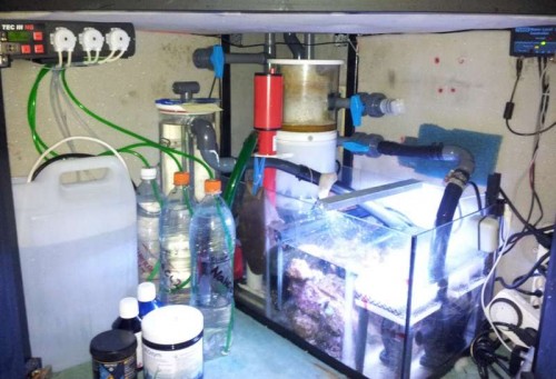 20120126_210512.jpg