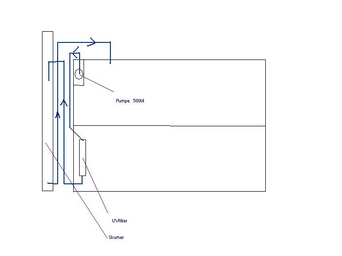 L-sys.JPG