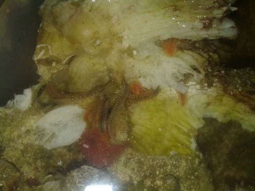29012012338.jpg