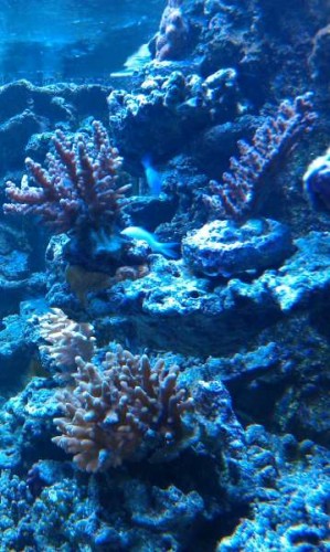 IMAG0119.jpg