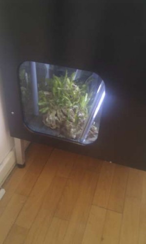 Refugium