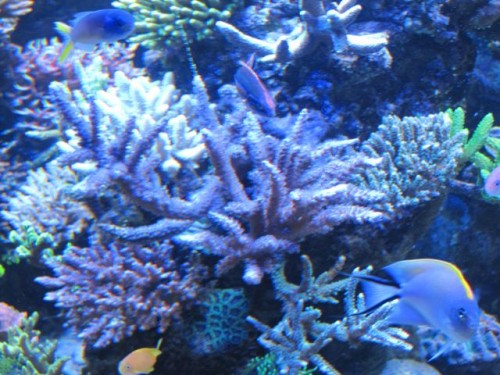IMG_3317.jpg