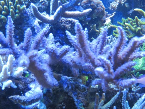 IMG_3315.jpg