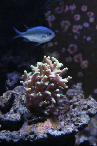 IMG_5471.JPG