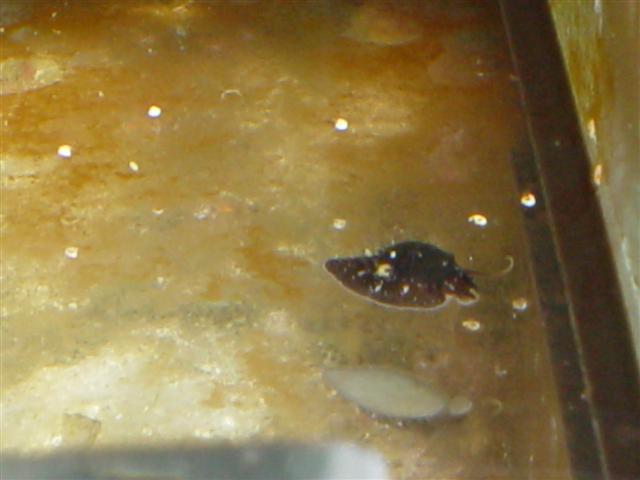 DSC00240.JPG