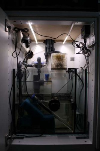 Sump