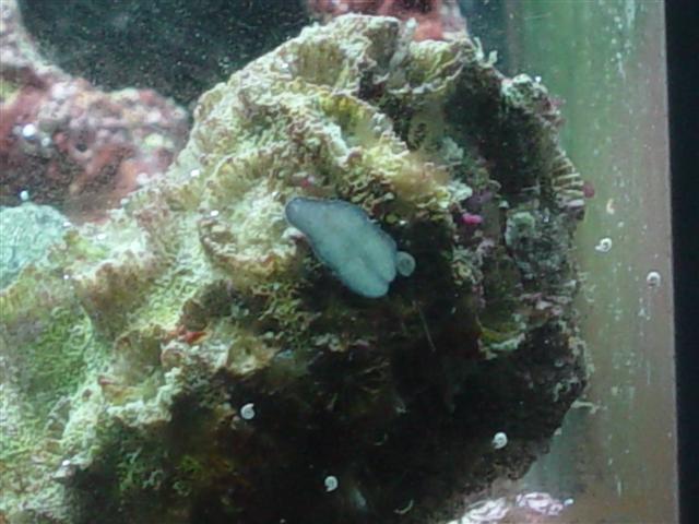 DSC00236.JPG