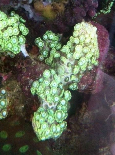 foto9.JPG