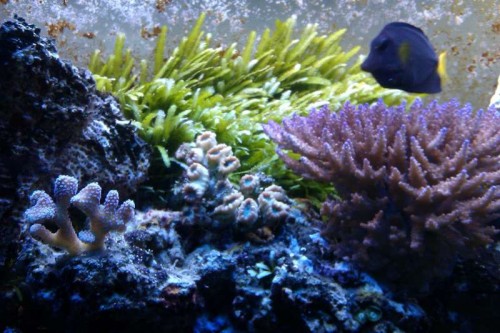 IMAG0126.jpg